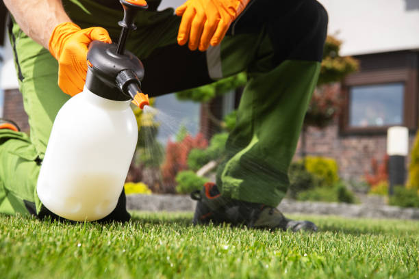 Best Best Pest Control Companies  in Bountiful, UT