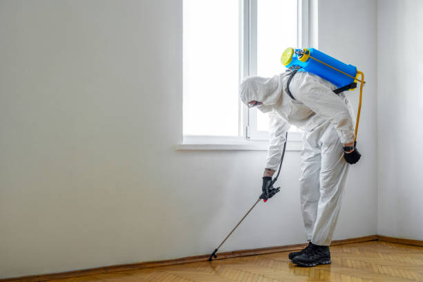 Best Mosquito Control Services  in Bountiful, UT